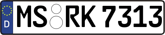 MS-RK7313
