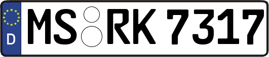 MS-RK7317