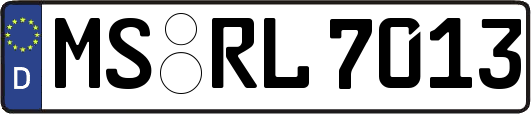 MS-RL7013