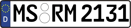 MS-RM2131
