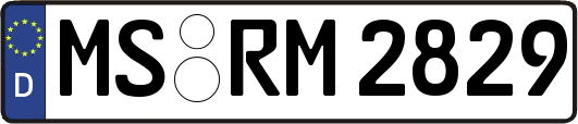 MS-RM2829