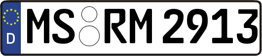 MS-RM2913