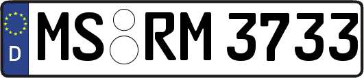 MS-RM3733