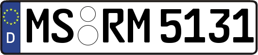 MS-RM5131