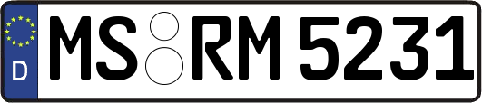 MS-RM5231