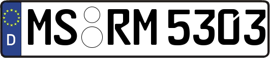 MS-RM5303
