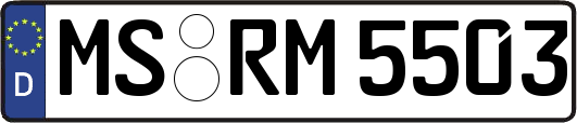 MS-RM5503