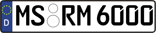 MS-RM6000