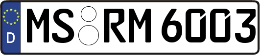 MS-RM6003
