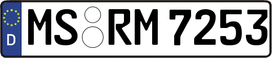 MS-RM7253