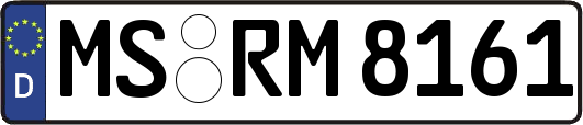 MS-RM8161