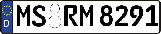 MS-RM8291