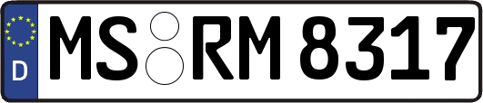 MS-RM8317