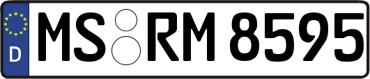 MS-RM8595