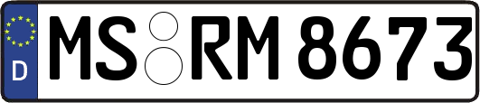 MS-RM8673