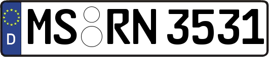 MS-RN3531