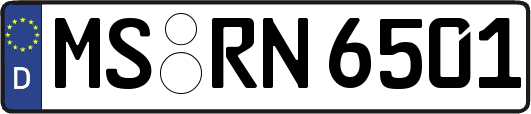 MS-RN6501