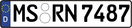 MS-RN7487
