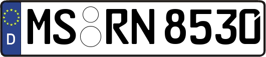 MS-RN8530