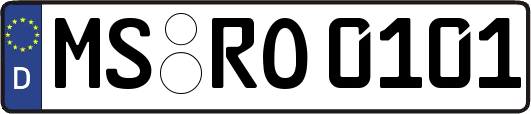 MS-RO0101