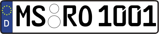 MS-RO1001