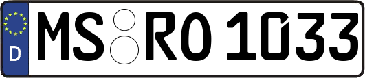 MS-RO1033