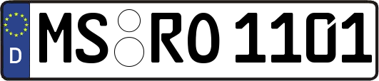 MS-RO1101