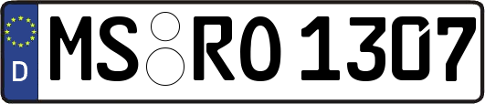 MS-RO1307