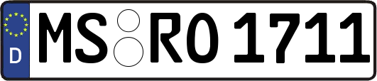 MS-RO1711
