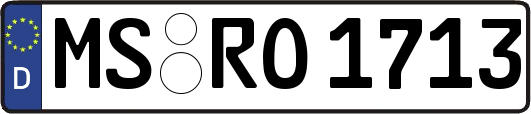 MS-RO1713