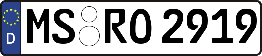 MS-RO2919