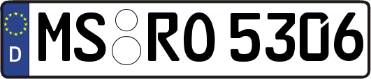 MS-RO5306