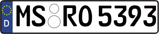 MS-RO5393