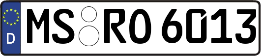 MS-RO6013
