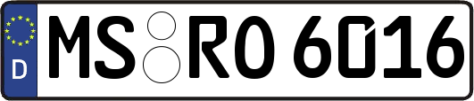 MS-RO6016