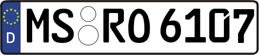 MS-RO6107