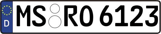 MS-RO6123