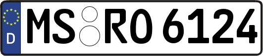 MS-RO6124