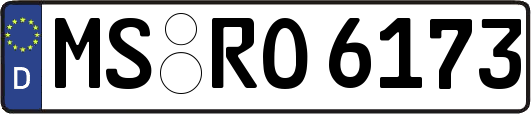 MS-RO6173