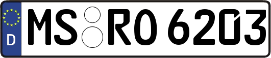 MS-RO6203