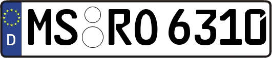 MS-RO6310