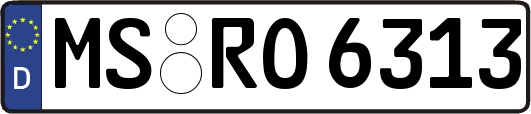 MS-RO6313