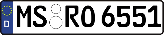 MS-RO6551