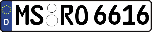 MS-RO6616