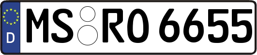 MS-RO6655