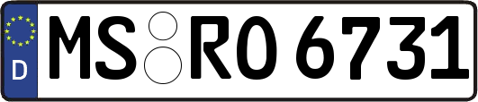 MS-RO6731