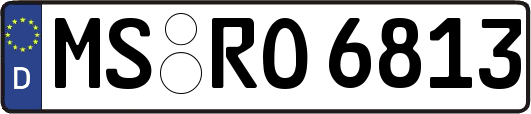 MS-RO6813