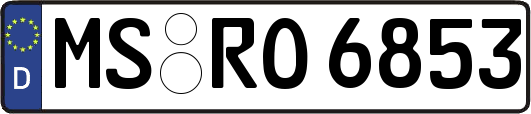 MS-RO6853