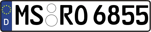 MS-RO6855