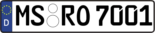 MS-RO7001